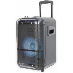 ALTAVOZ DENVER TSP-306...