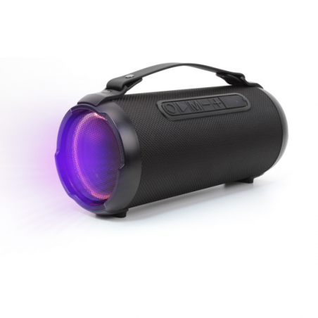 ALTAVOZ DENVER BTG-408 BLUETOOTH