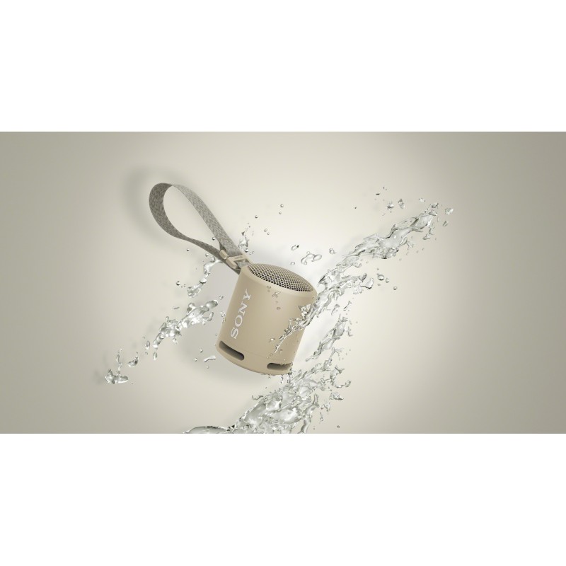 ALTAVOZ SONY SRSXB13C.CE7 BLUETOOTH GRIS