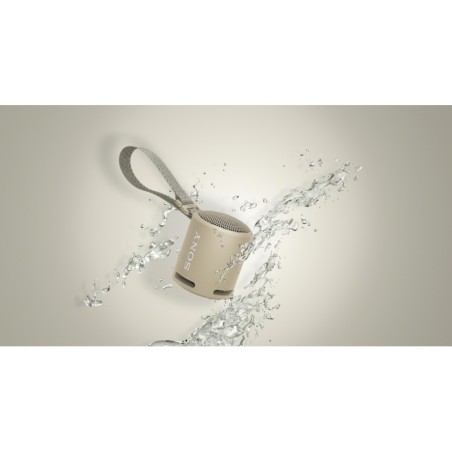 ALTAVOZ SONY SRSXB13C.CE7 BLUETOOTH GRIS