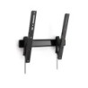SOPORTE TV VOGEL S WALL 3215  32-55 30KG
