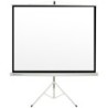 PANTALLA PROYECTOR PHOENIX TRIP-200 2 X 2 METROS