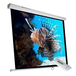 PANTALLA PROYECTOR PHOENIX...