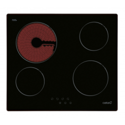 ENCIM. CATA T604 4F VITRO