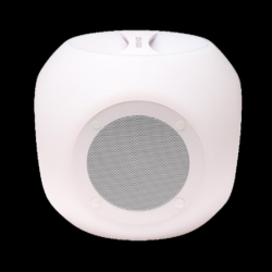 ALTAVOZ DENVER BTL-70 MANDO