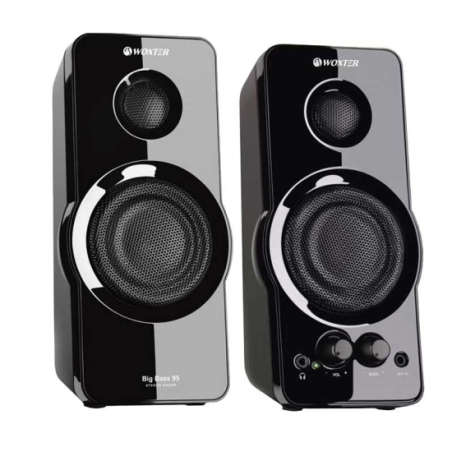 ALTAVOCES WOXTER 2.0 BIG BASS 95 20 W
